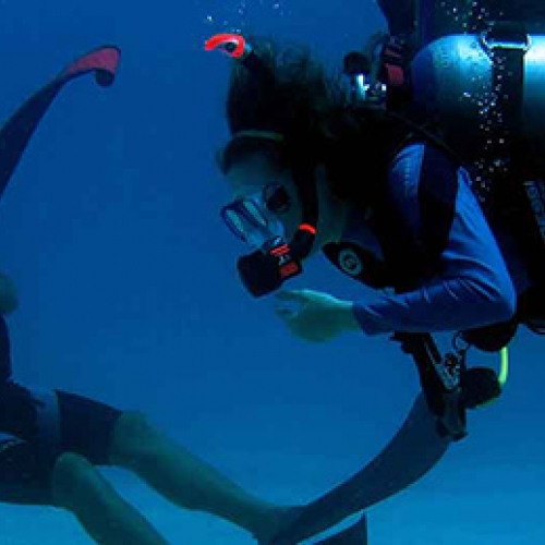 Divemaster Training Program